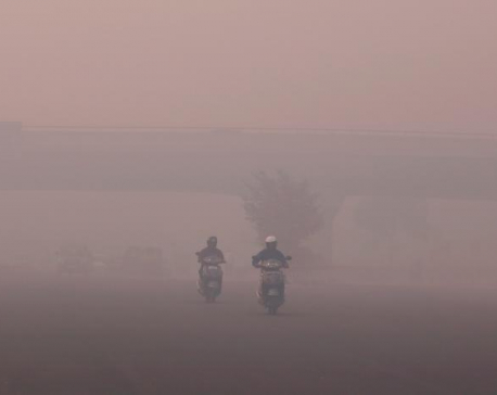 Smog chokes Delhi as pollution hits hazardous levels
